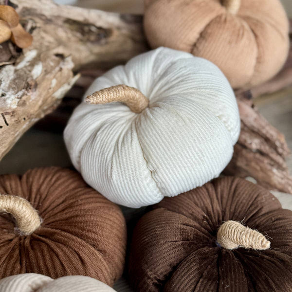 Cream Corduroy Pumpkin flatlay