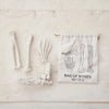 Set of model bones with a drawstring bag labeled 'Bag of Bones Set of 4' on a neutral background.