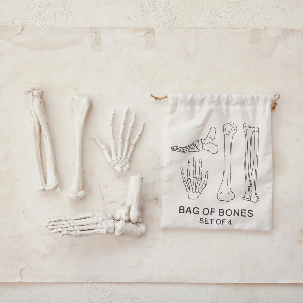Set of model bones with a drawstring bag labeled 'Bag of Bones Set of 4' on a neutral background.