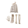 Resin Bag of Bones, White, Set of 4 in Printed Drawstring Bag