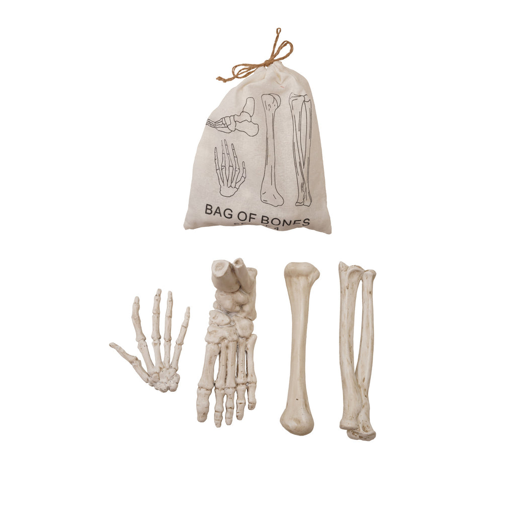 Resin Bag of Bones, White, Set of 4 in Printed Drawstring Bag