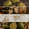 Cement Pumpkin Soy Candle_Fall home scents