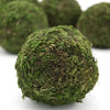 Decorative_Moss_Ball_Bowl_details