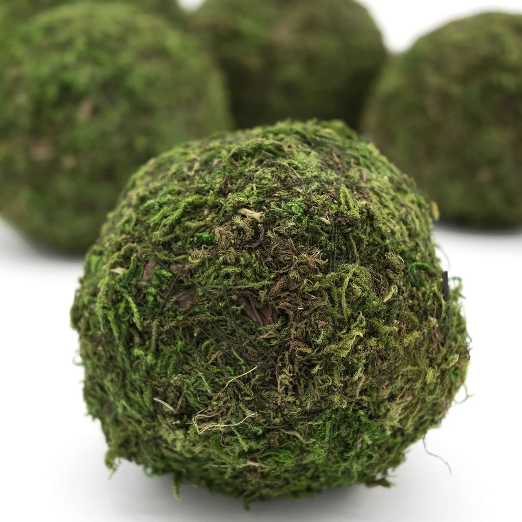 Decorative_Moss_Ball_Bowl_details