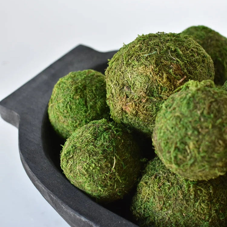 Green moss balls arranged in a dark gray ceramic bowl on a white background.