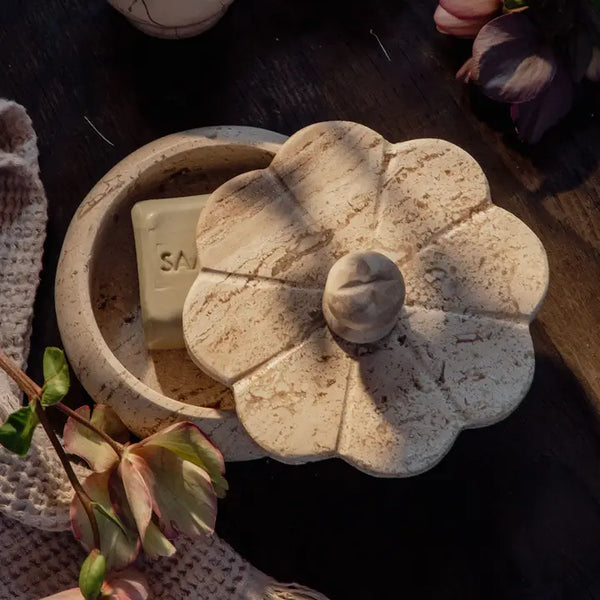 Decorative stone travertine box with a small plant inside on a dark surface.