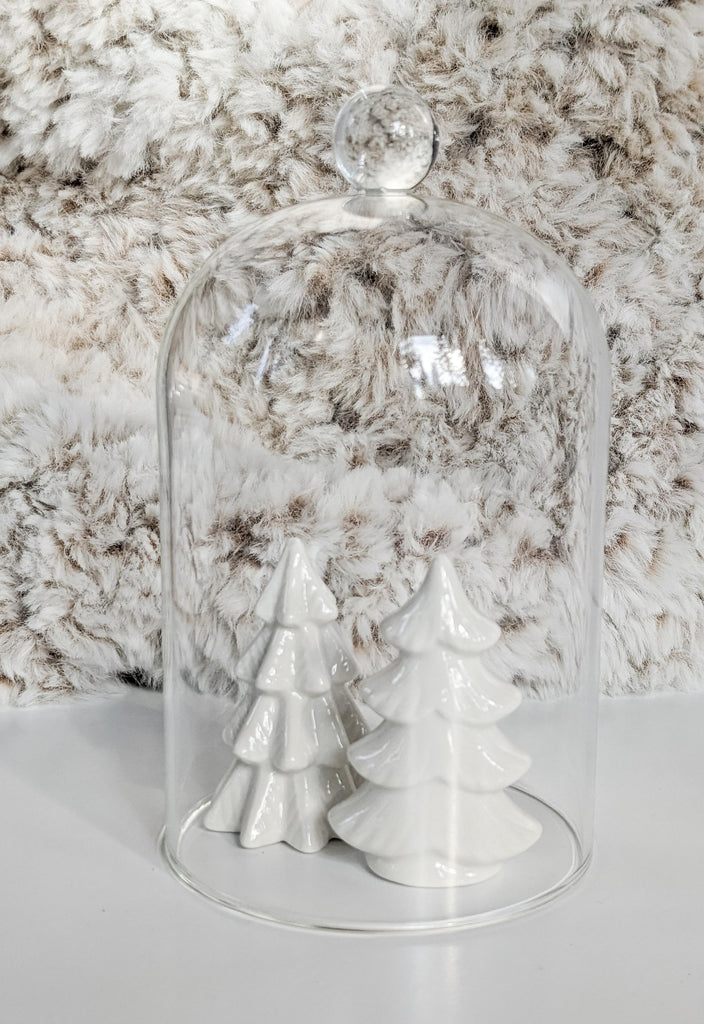 Glass Cloche with Christmas decor