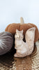 squirrel figurine with pumpkins for fall decorating