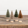 Four small bottle brush Christmas trees on wooden stands against a white background
