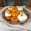 Decorative pumpkins in orange and white on a brass tray with a neutral background