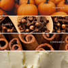 Collage of pumpkins, cloves, cinnamon sticks, and vanilla extract with labels.