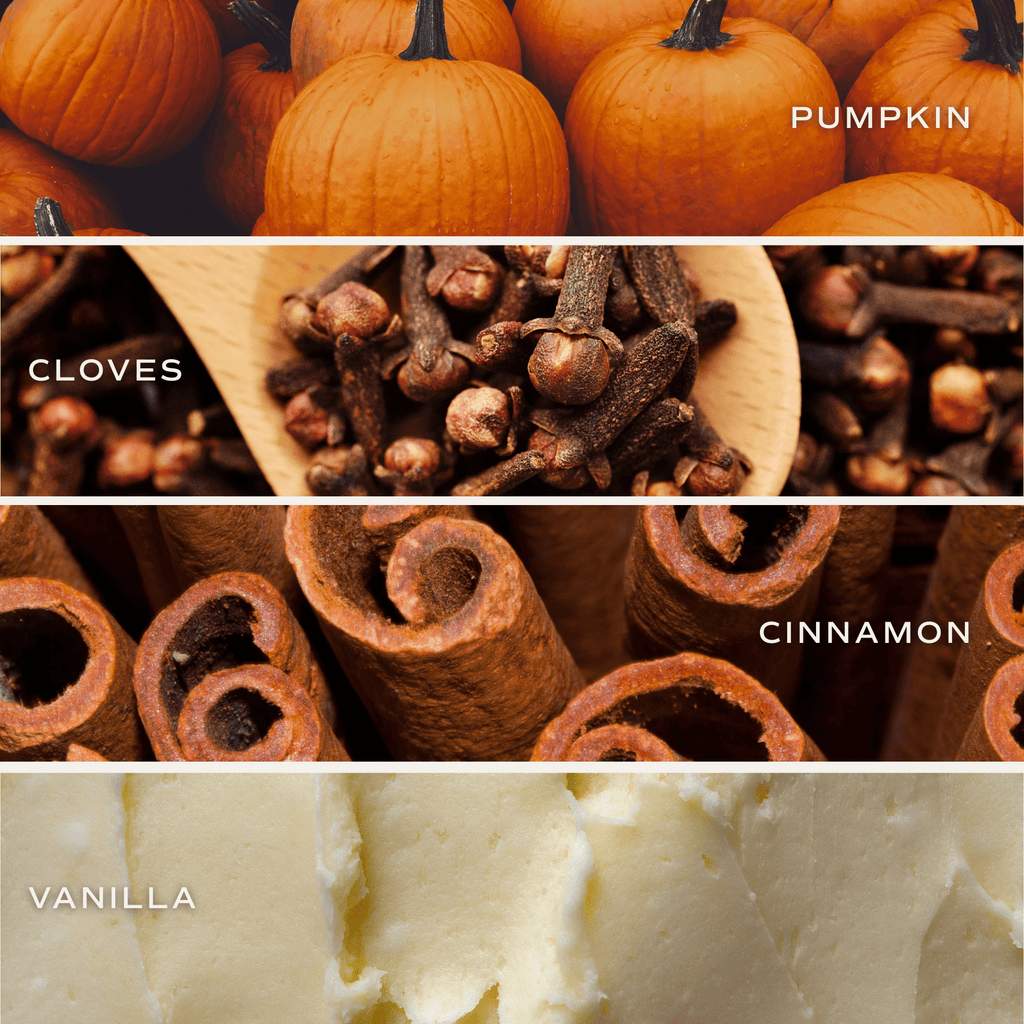 Collage of pumpkins, cloves, cinnamon sticks, and vanilla extract with labels.