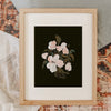 Peony Art Print in Wood Frame