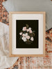 Peony Art Print in Wood Frame