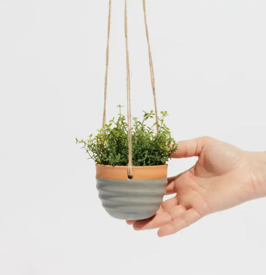 Hand holding a small hanging plant pot with a plain background
