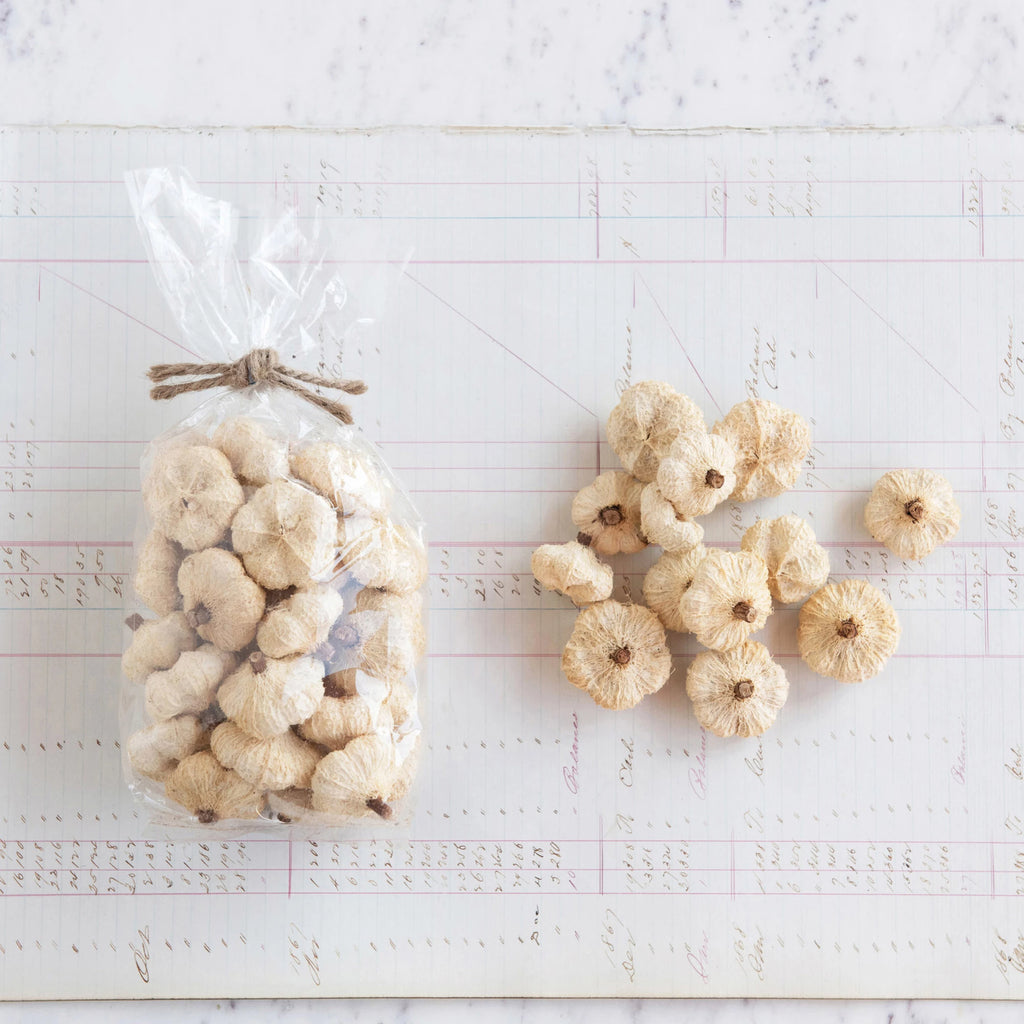 Bag of small pumpkins on a white textured surface