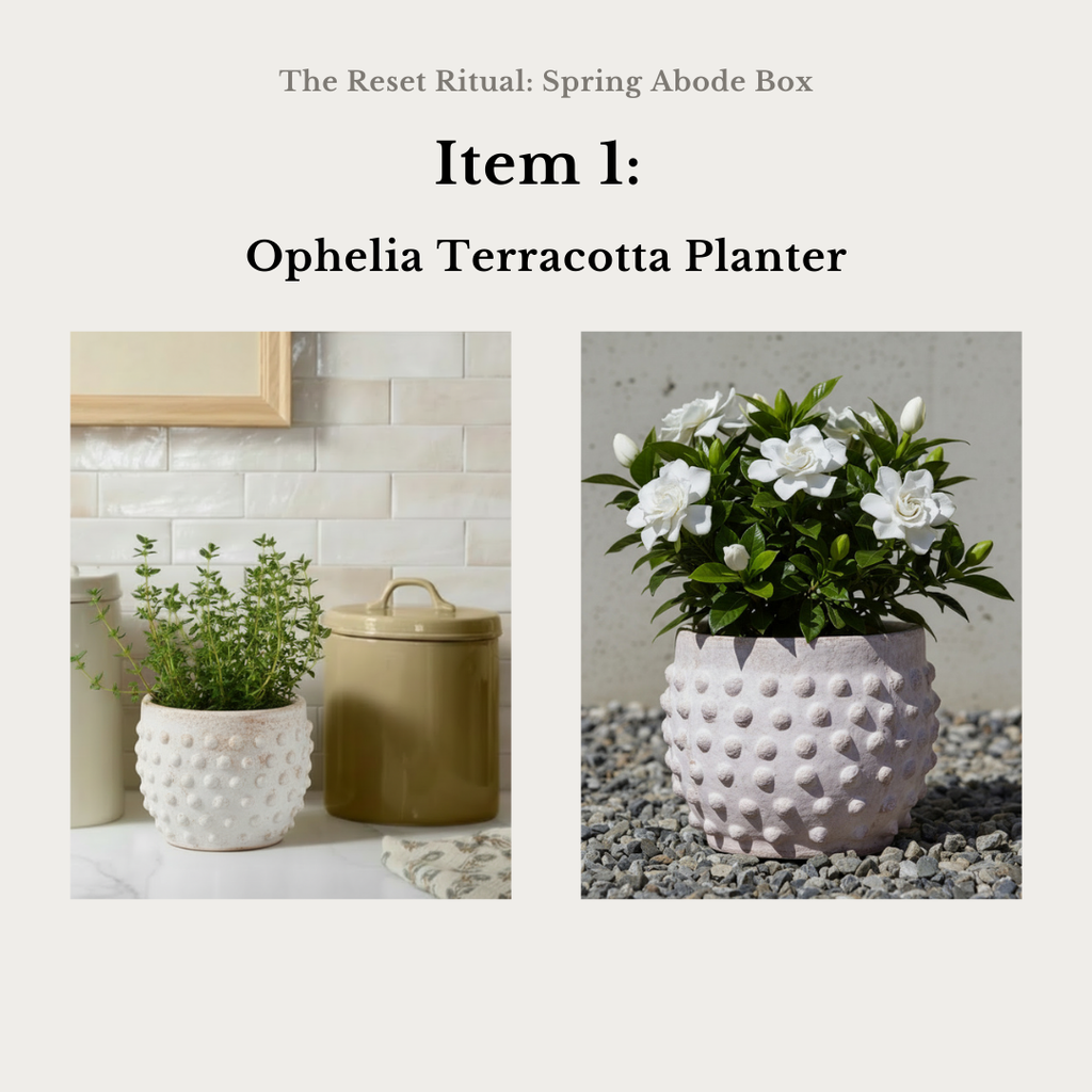 Ophelia Terracotta Planter with decorative plant on a neutral background