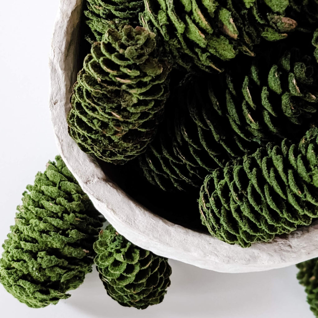Green flocked pinecones in a white bowl on a white background