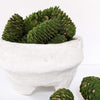 A collection of flocked pinecones arranged in a white bowl on a white surface, with a few pinecones scattered outside the bowl.