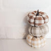 Mini Pumpkins in Plaid Fall Colors