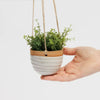 Small Hanging Planter White with Plant